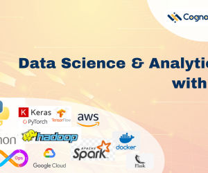Data Science & Analytics with AI