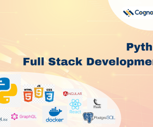 Python Full-Stack Development