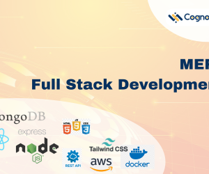 MERN Full-Stack Developments