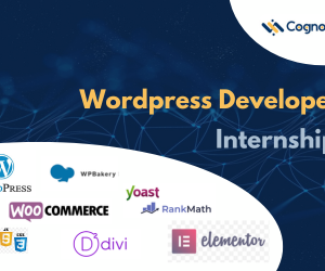 WordPress Development Internship