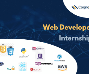 Website Development Internship