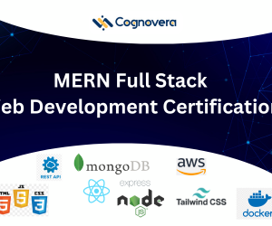 MERN Full Stack Web Development Certification