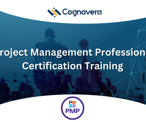Project Management Professional Certification Training