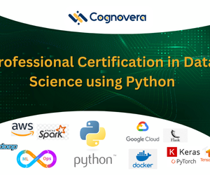 Professional Certification in Data Science using Python