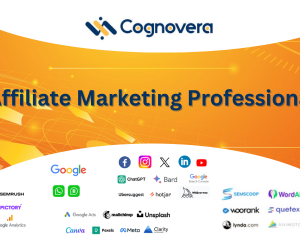 Affiliate Marketing Professional