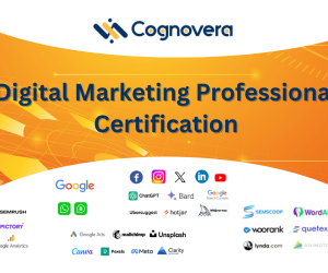 Digital Marketing Professional Certification