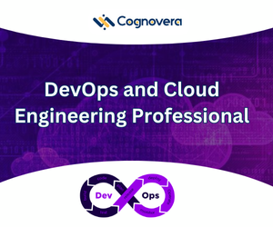 DevOps and Cloud Engineering Professional