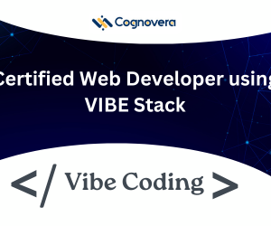 Certified Web Developer using VIBE Stack
