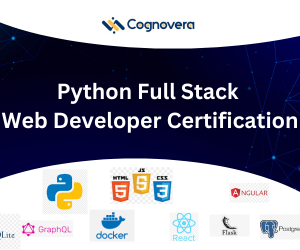 Python Full Stack Web Developer Certification